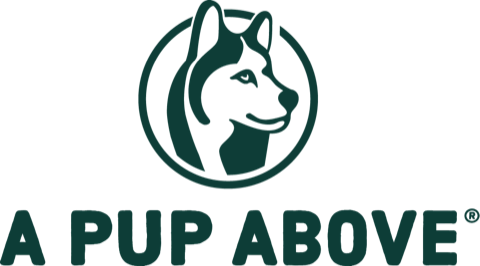 A Pup Above