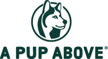 A Pup Above